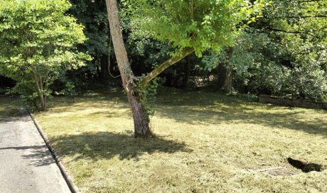 L'Entreprise Aux Charmes du Jardin vous propose la mise au propre d'un terrain à Ecully 
