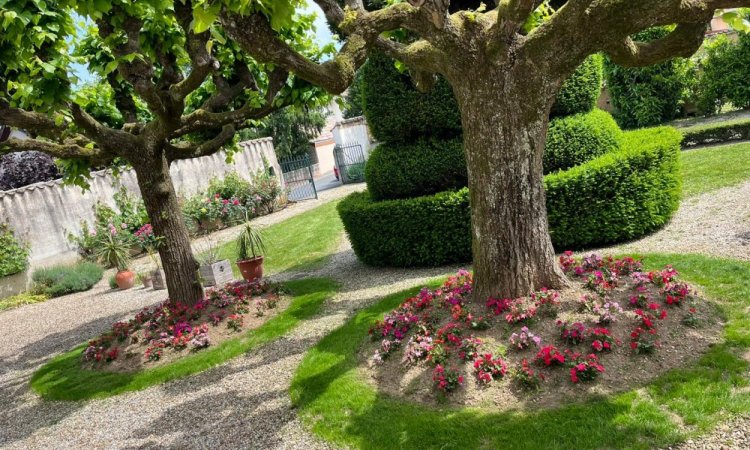 L'Entreprise Aux Charmes du Jardin vous propose le fleurissement et l'engazonnement au pied des tilleuls à Fareins (01)